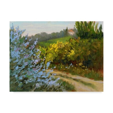 Trademark Fine Art Mary Jean Weber 'Rosemary By The Road' Canvas Art, 35x47 WAG02183-C3547GG